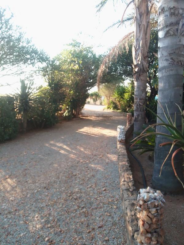 3 Bedroom Property for Sale in Polokwane Limpopo