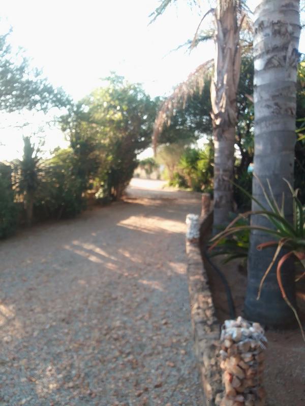 3 Bedroom Property for Sale in Polokwane Limpopo