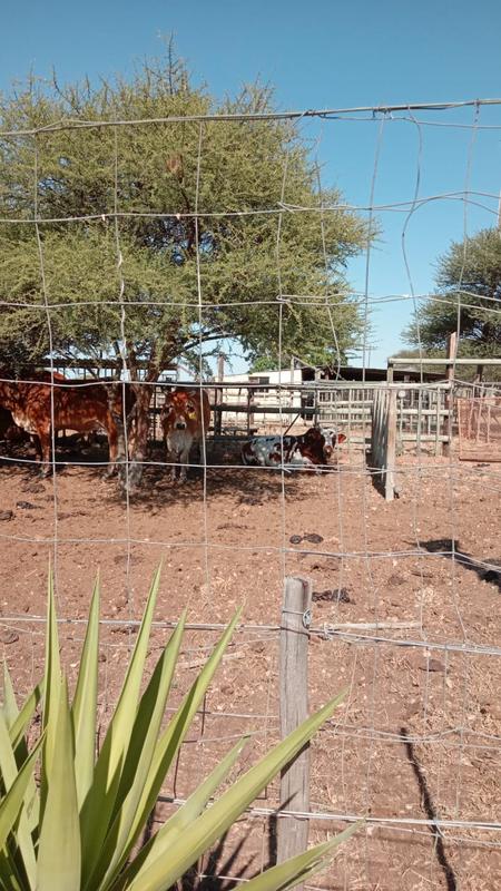 3 Bedroom Property for Sale in Polokwane Limpopo