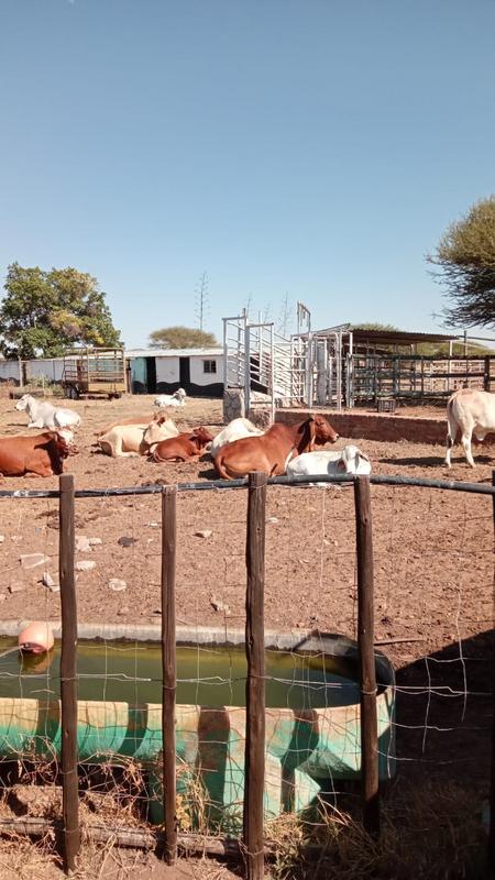 3 Bedroom Property for Sale in Polokwane Limpopo