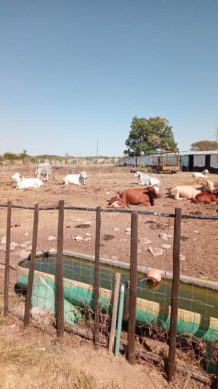 3 Bedroom Property for Sale in Polokwane Limpopo