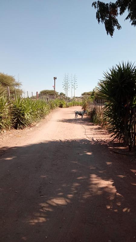 3 Bedroom Property for Sale in Polokwane Limpopo