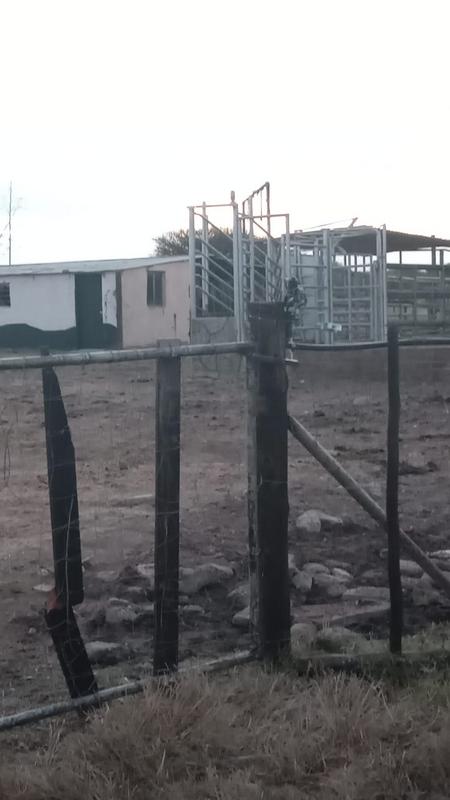 3 Bedroom Property for Sale in Polokwane Limpopo