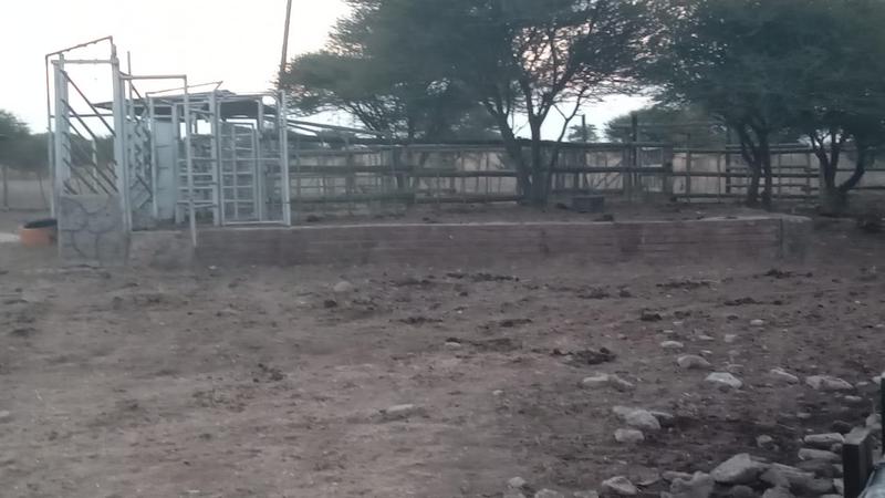 3 Bedroom Property for Sale in Polokwane Limpopo
