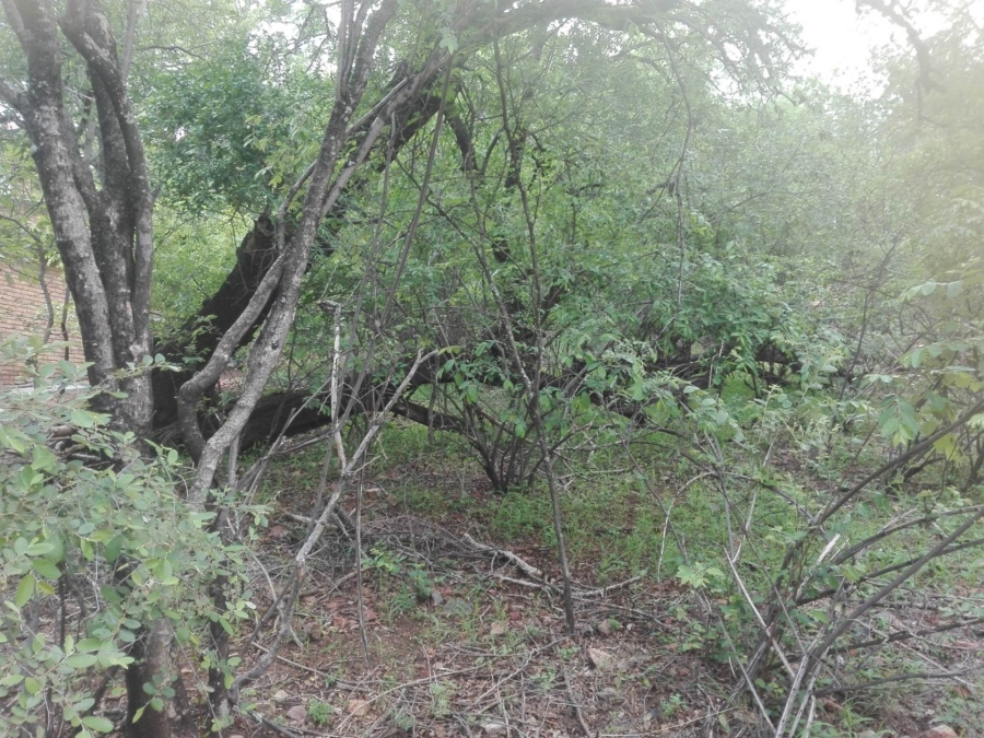 0 Bedroom Property for Sale in Leeupoort Limpopo