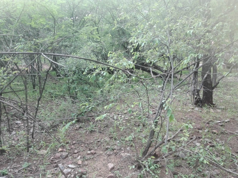 0 Bedroom Property for Sale in Leeupoort Limpopo