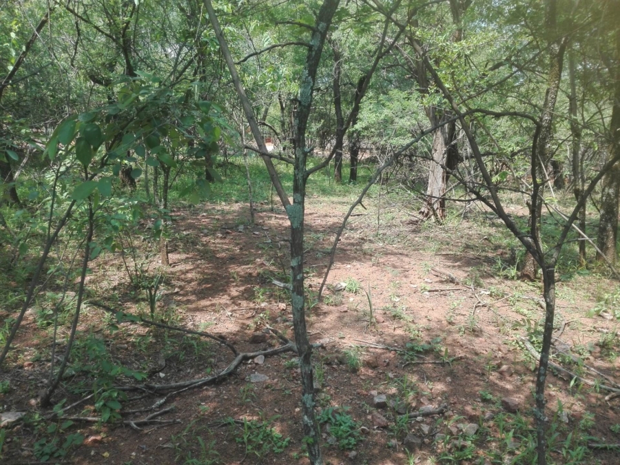 0 Bedroom Property for Sale in Leeupoort Limpopo