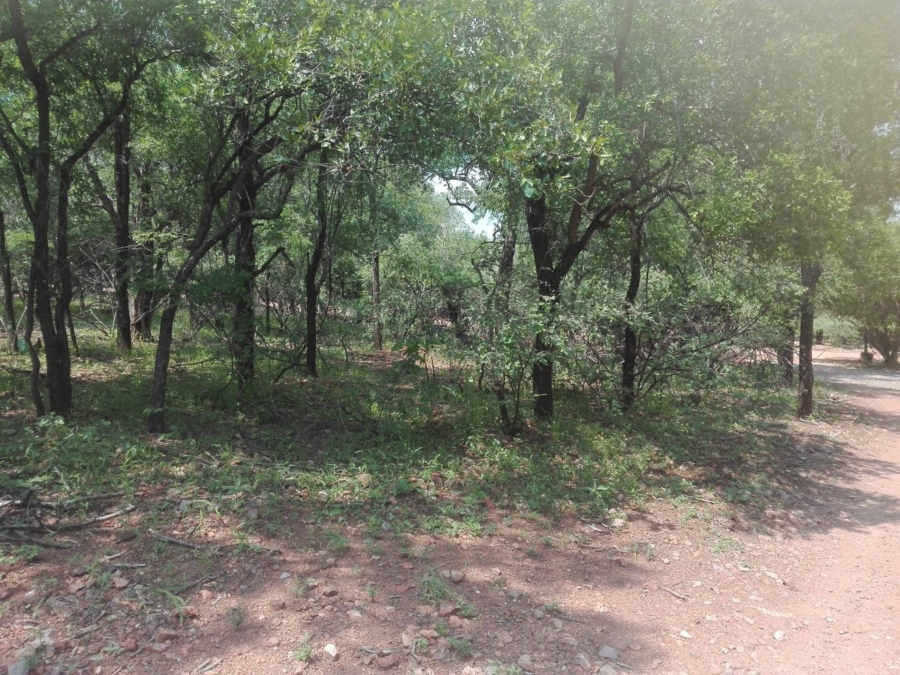0 Bedroom Property for Sale in Leeupoort Limpopo