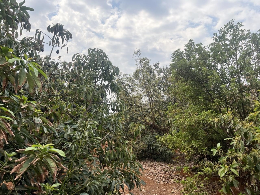 3 Bedroom Property for Sale in Ohrigstad Limpopo