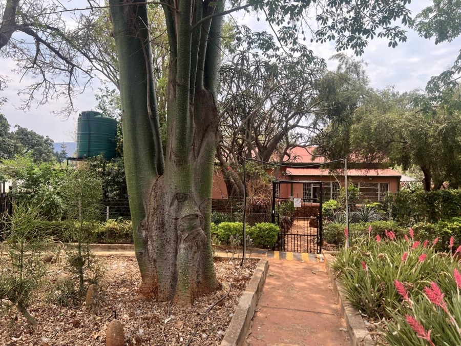 3 Bedroom Property for Sale in Ohrigstad Limpopo