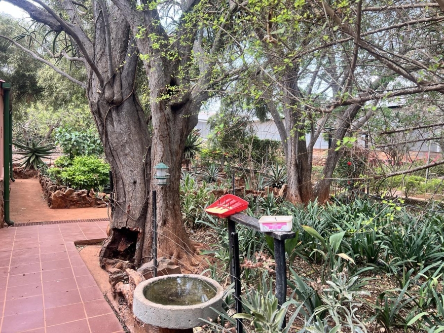 3 Bedroom Property for Sale in Ohrigstad Limpopo