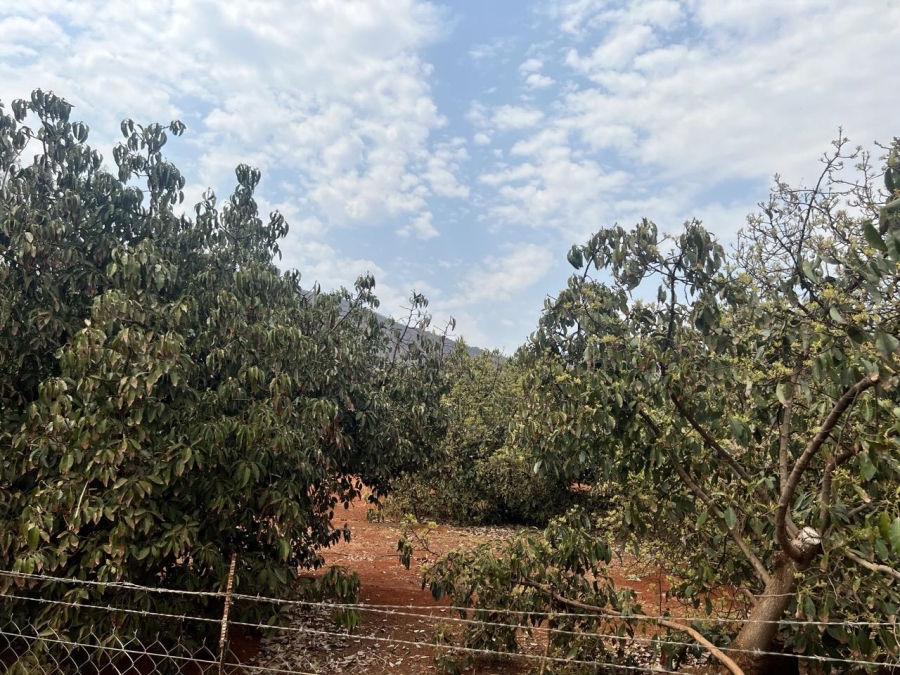 3 Bedroom Property for Sale in Ohrigstad Limpopo