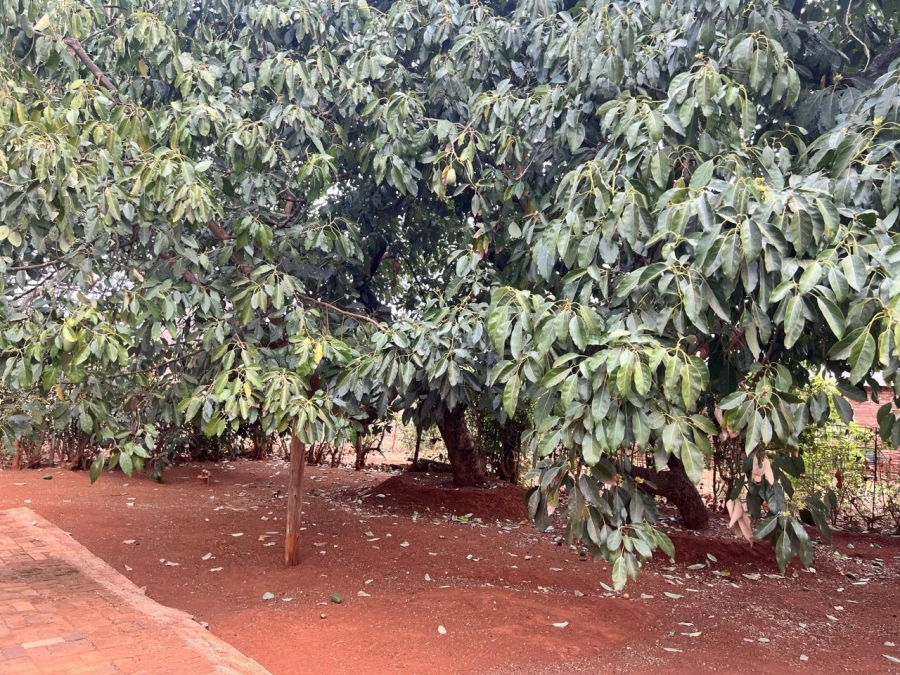 3 Bedroom Property for Sale in Ohrigstad Limpopo