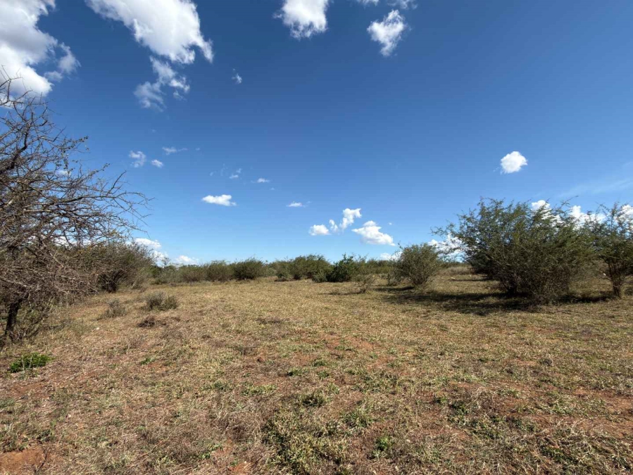 0 Bedroom Property for Sale in Elephant Rock Eco Estate Limpopo