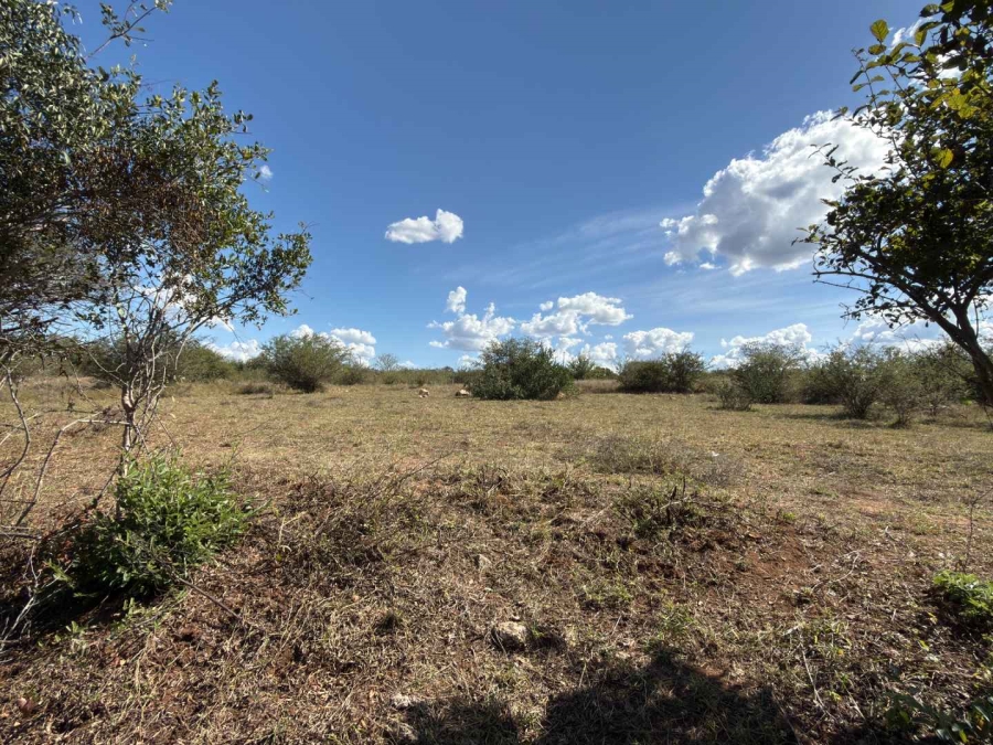 0 Bedroom Property for Sale in Elephant Rock Eco Estate Limpopo