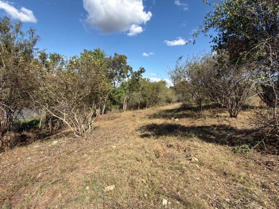 0 Bedroom Property for Sale in Elephant Rock Eco Estate Limpopo