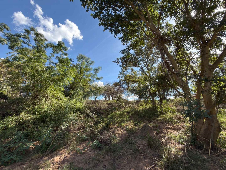0 Bedroom Property for Sale in Elephant Rock Eco Estate Limpopo