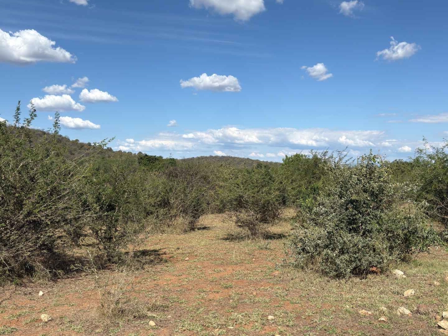 0 Bedroom Property for Sale in Elephant Rock Eco Estate Limpopo