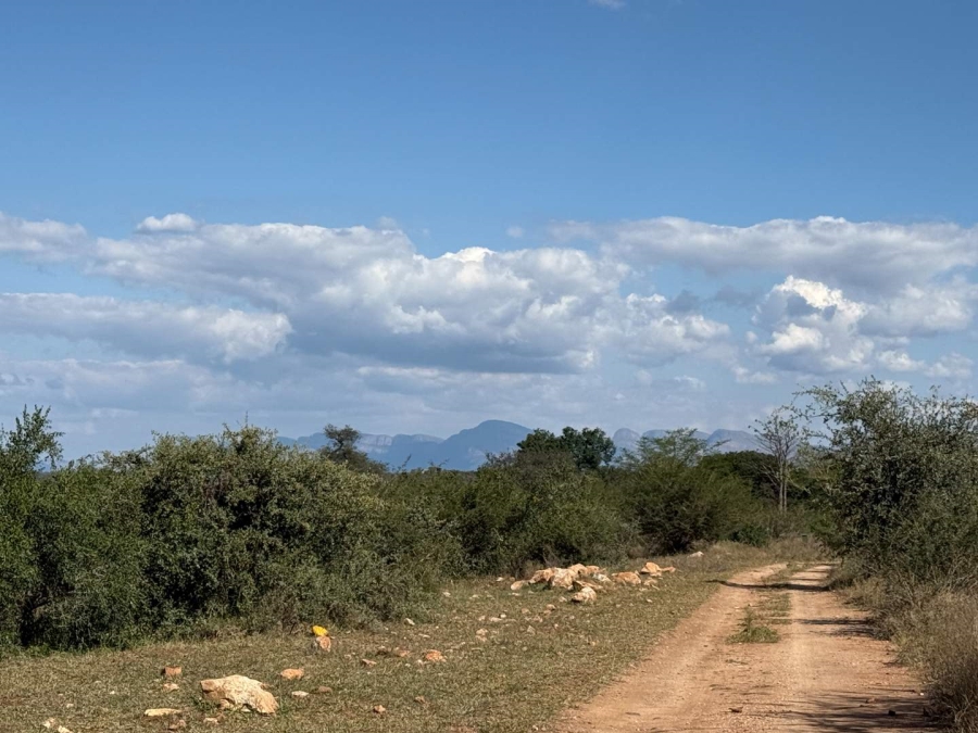 0 Bedroom Property for Sale in Elephant Rock Eco Estate Limpopo