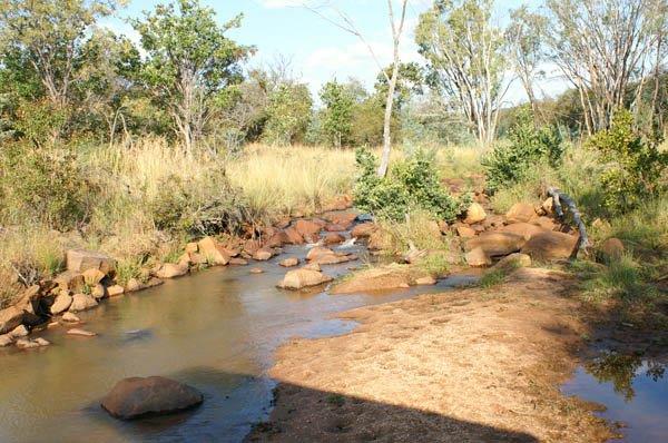 0 Bedroom Property for Sale in Vaalwater Limpopo