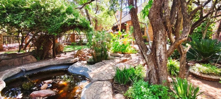 3 Bedroom Property for Sale in Leeupoort Limpopo