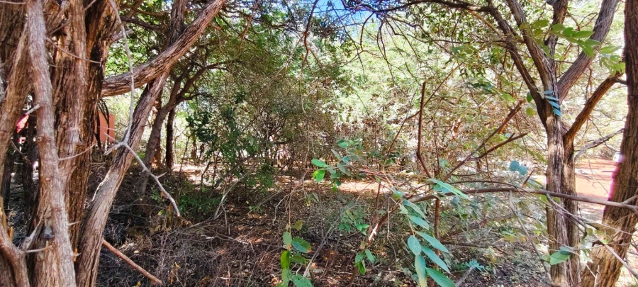 2 Bedroom Property for Sale in Leeupoort Limpopo