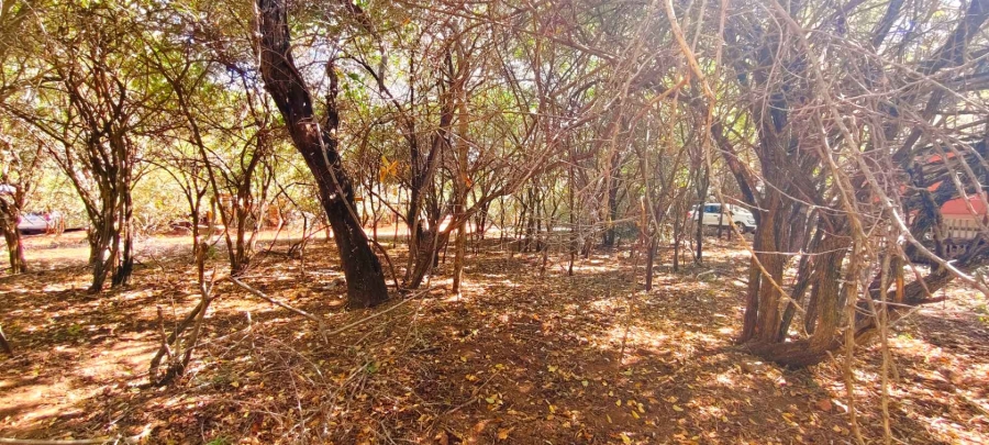 2 Bedroom Property for Sale in Leeupoort Limpopo