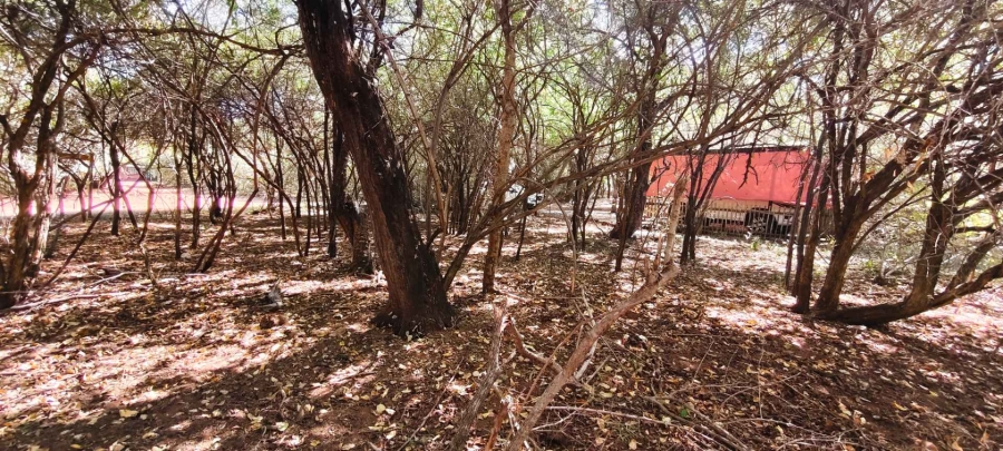 2 Bedroom Property for Sale in Leeupoort Limpopo