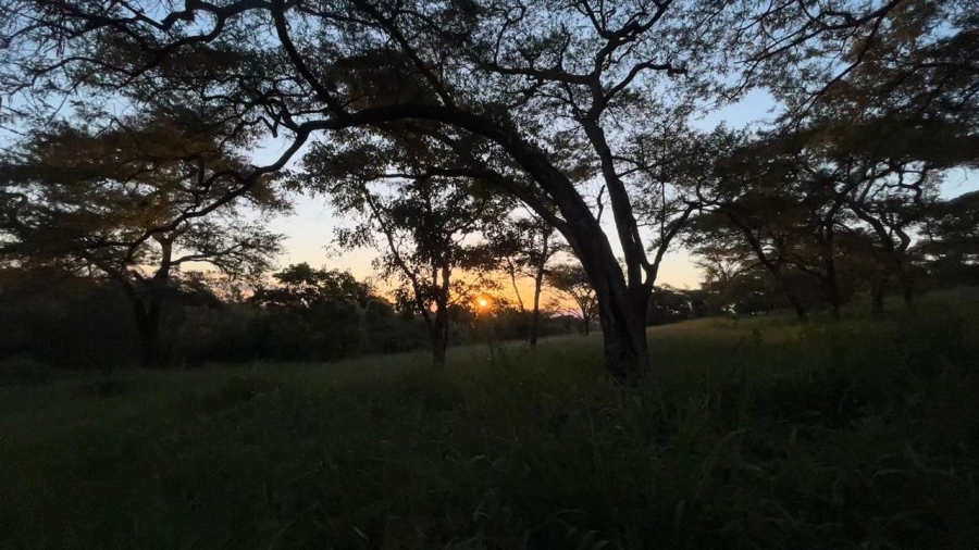 4 Bedroom Property for Sale in Tzaneen Rural Limpopo