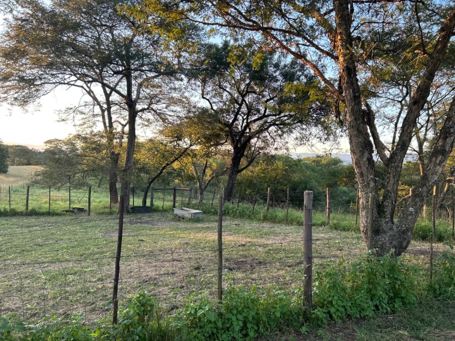 4 Bedroom Property for Sale in Tzaneen Rural Limpopo