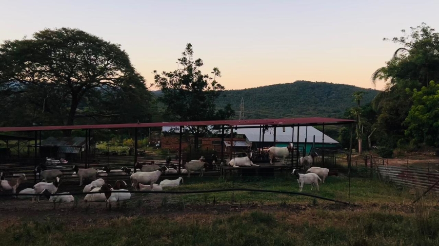 4 Bedroom Property for Sale in Tzaneen Rural Limpopo