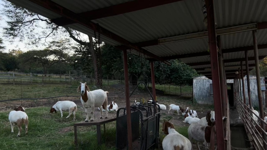 4 Bedroom Property for Sale in Tzaneen Rural Limpopo