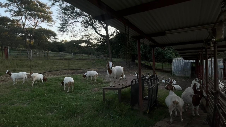 4 Bedroom Property for Sale in Tzaneen Rural Limpopo