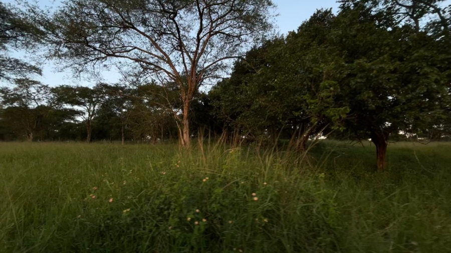 4 Bedroom Property for Sale in Tzaneen Rural Limpopo