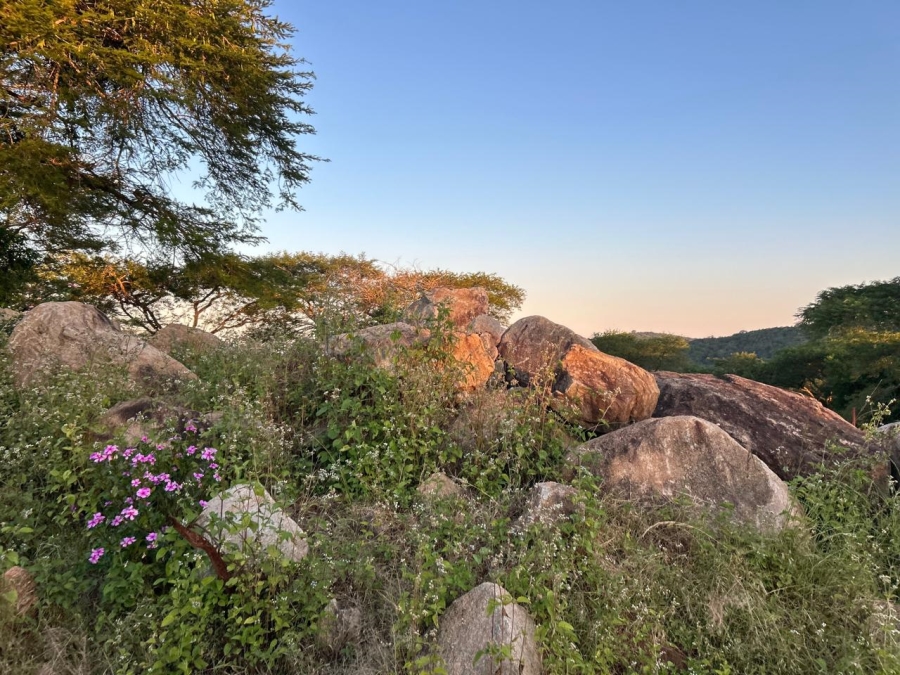 4 Bedroom Property for Sale in Tzaneen Rural Limpopo