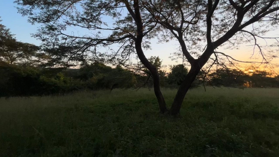 4 Bedroom Property for Sale in Tzaneen Rural Limpopo