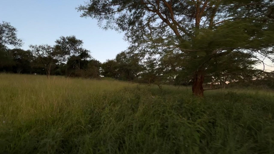 4 Bedroom Property for Sale in Tzaneen Rural Limpopo