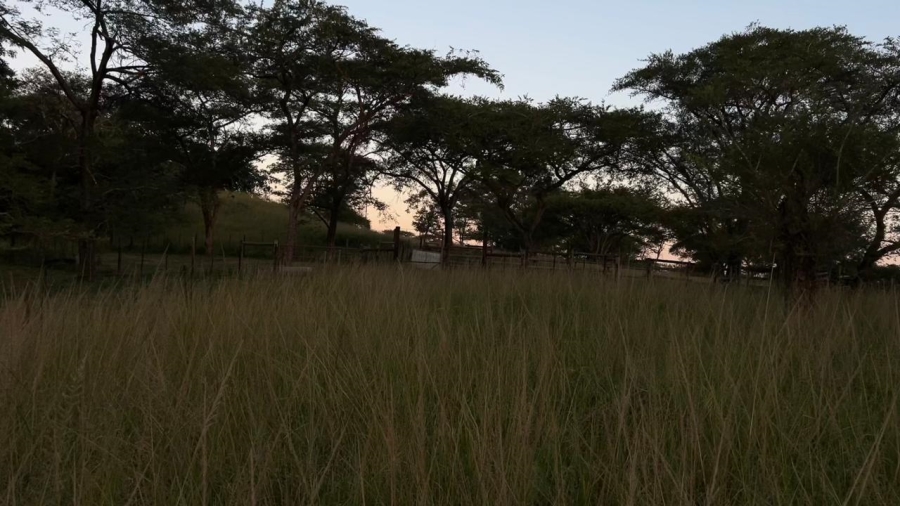 4 Bedroom Property for Sale in Tzaneen Rural Limpopo