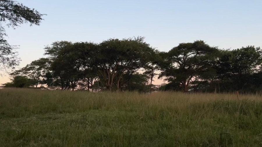 4 Bedroom Property for Sale in Tzaneen Rural Limpopo