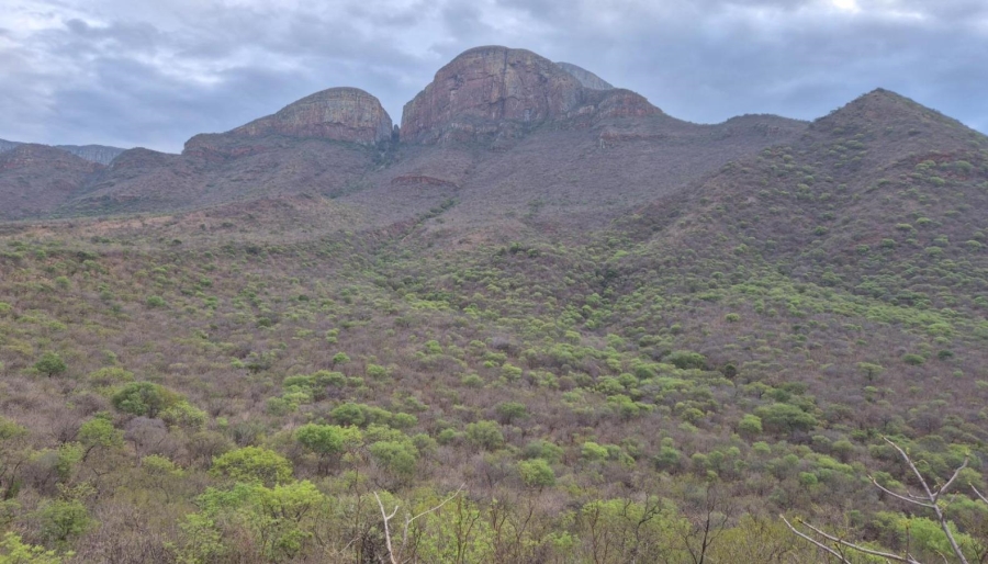 0 Bedroom Property for Sale in Canyon Game Reserve Limpopo