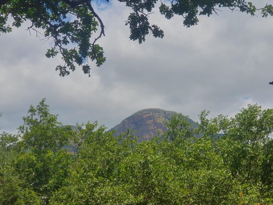 0 Bedroom Property for Sale in Canyon Game Reserve Limpopo