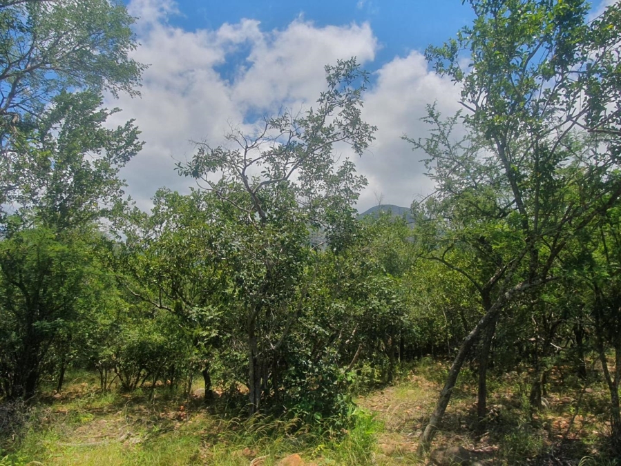 0 Bedroom Property for Sale in Canyon Game Reserve Limpopo