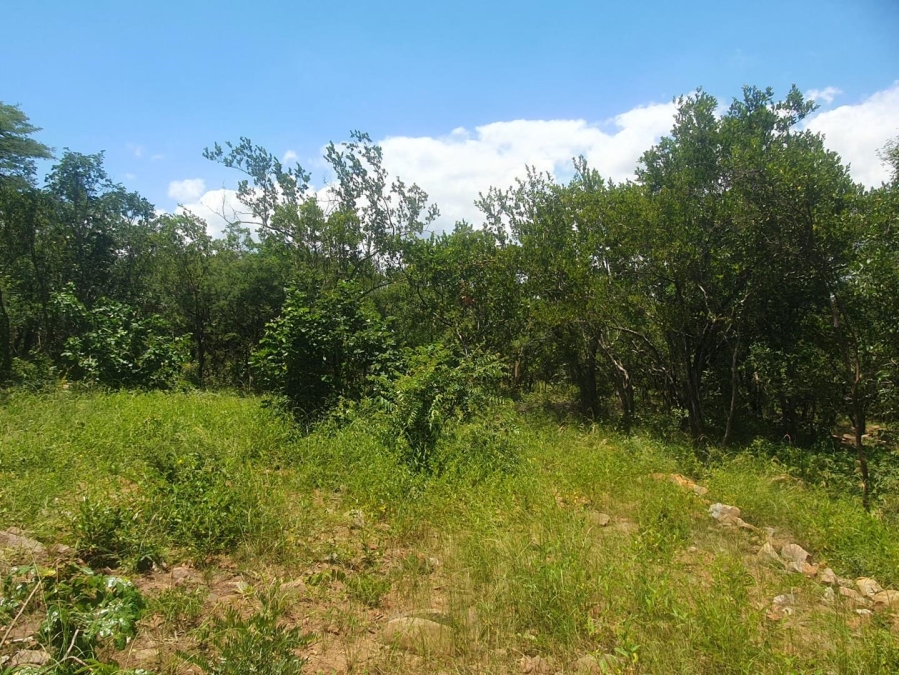 0 Bedroom Property for Sale in Canyon Game Reserve Limpopo