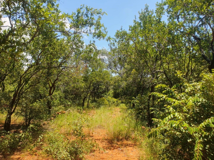 0 Bedroom Property for Sale in Canyon Game Reserve Limpopo