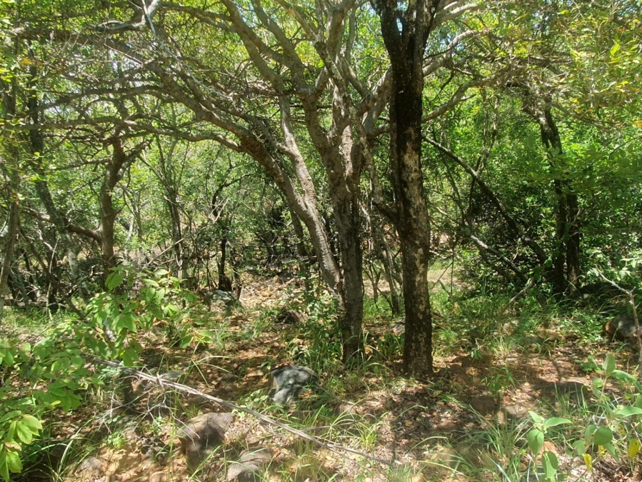 0 Bedroom Property for Sale in Canyon Game Reserve Limpopo