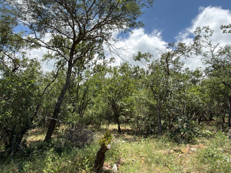 0 Bedroom Property for Sale in Canyon Game Reserve Limpopo