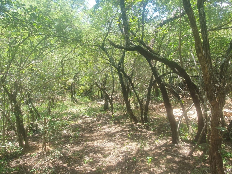 0 Bedroom Property for Sale in Canyon Game Reserve Limpopo