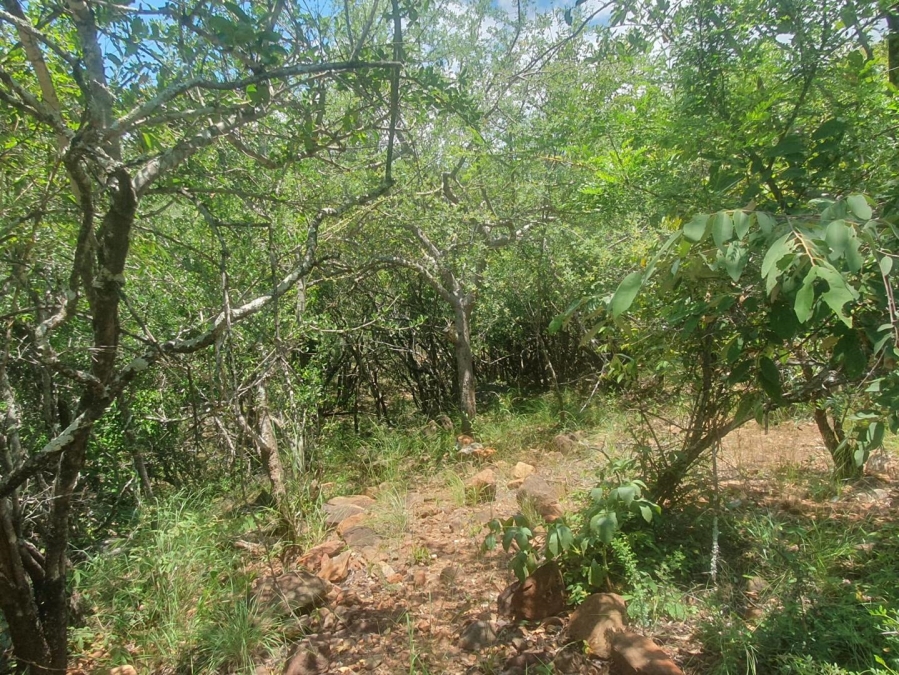 0 Bedroom Property for Sale in Canyon Game Reserve Limpopo