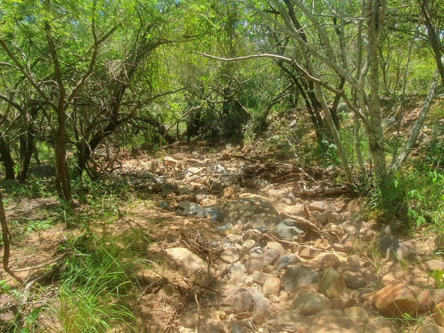 0 Bedroom Property for Sale in Canyon Game Reserve Limpopo