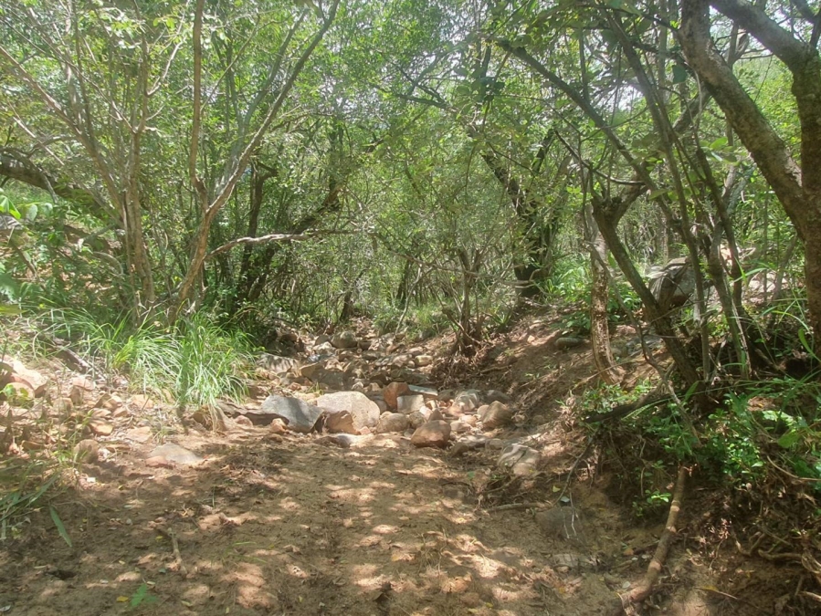 0 Bedroom Property for Sale in Canyon Game Reserve Limpopo